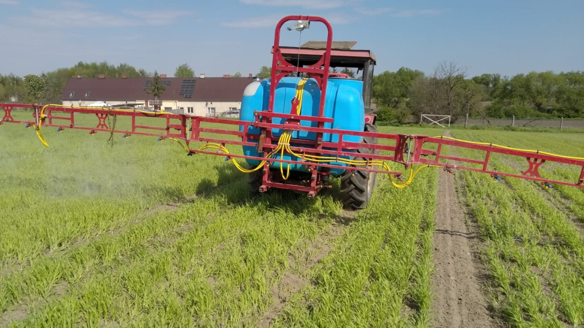 Aplikacja biostymulatorów; 1- zabieg